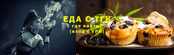 гидра Гусев