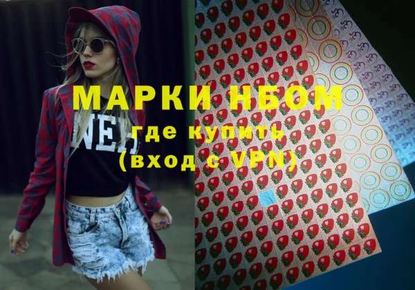 гидра Гусев