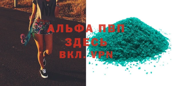гидра Гусев